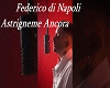 💕 Federico di Napoli