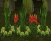 D;Spring Home Bushes