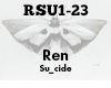 Ren New Single