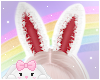 🌙 Fuzzy Bunny Cherry