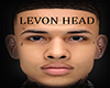 LEVON HEAD ASTERI