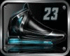 Bluefoot-Air-Jordan-25 B
