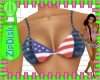 Z) Bikini top USA
