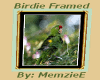 Birdie Framed