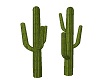 AH! Cactus 2