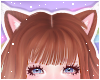 🌙 Lynx Ears Ginger
