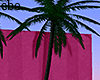 Minimalist Palm / Pink