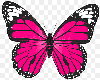 G* Pink Butterflys F