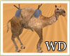 [WD]Camel