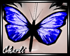 {CS}Dark Blue Butterfly