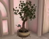 Love Birds /Tree
