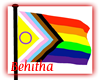 LGBTQIA+  Flag