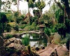 japanese Stone Garden