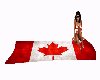 Canada Towel for 4