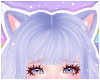 🌙 Lynx Ears Blue