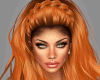 Oceilor Carrot