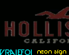 VF-Hollister- neon sign