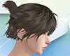 Ponytail hair bangs
