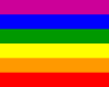Lesbian & Gay Flag