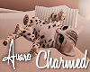 Charmed Leopard Kitten