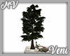 Lit Tree & Deck