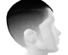 Zz|Faded