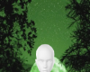 Green lake background