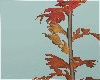 Oak Branch Vase