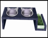 CAT BOWLS AND GRASS