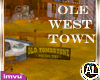 OLE WESTERN TOWN