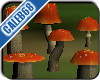 mushrooms 05