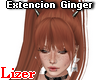 Extencion Hair Ginger