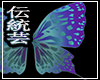 蝶-butterfly