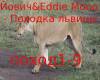 Jovich&Mono-Lioness Walk