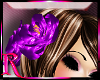*R* Purple Hair Roses