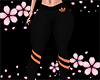 Sport Pant Orange Rll