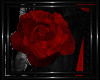!T! Gothic | Roses R