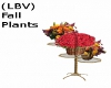 (LBV) Fall Plants