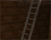 LKC Old Ladder