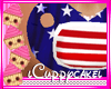 !C 4th Of July Pacifier 
