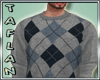 T* Grey Knitted Jumper