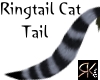 Ringtail Cat Tail