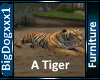 [BD] A Tiger