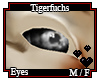 Tigerfuchs Eyes