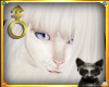 |LB|MaineCoon A Hair 3
