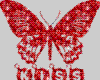 [SH11]Butterfly~Kiss
