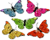 Fancy Butterflies