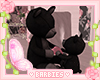 Mommy & Me Bears