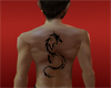 dragon tattoo