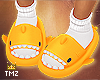 1 -Shark Slides *Sun